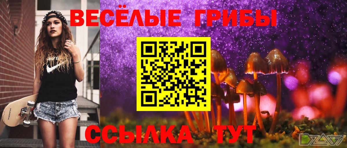 Фурманов  Галлюциногенные грибы Psilocybe  Вход с VPN 